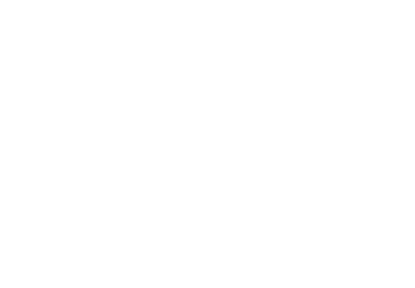 Exército